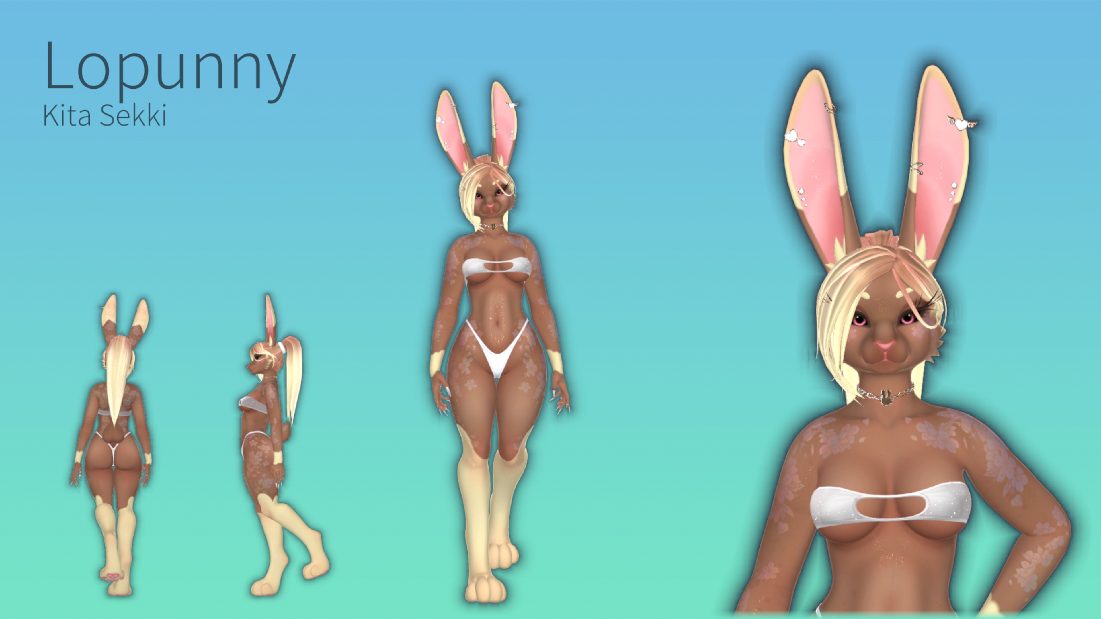 Lopunny (Shiny and Regular) Alice Textures