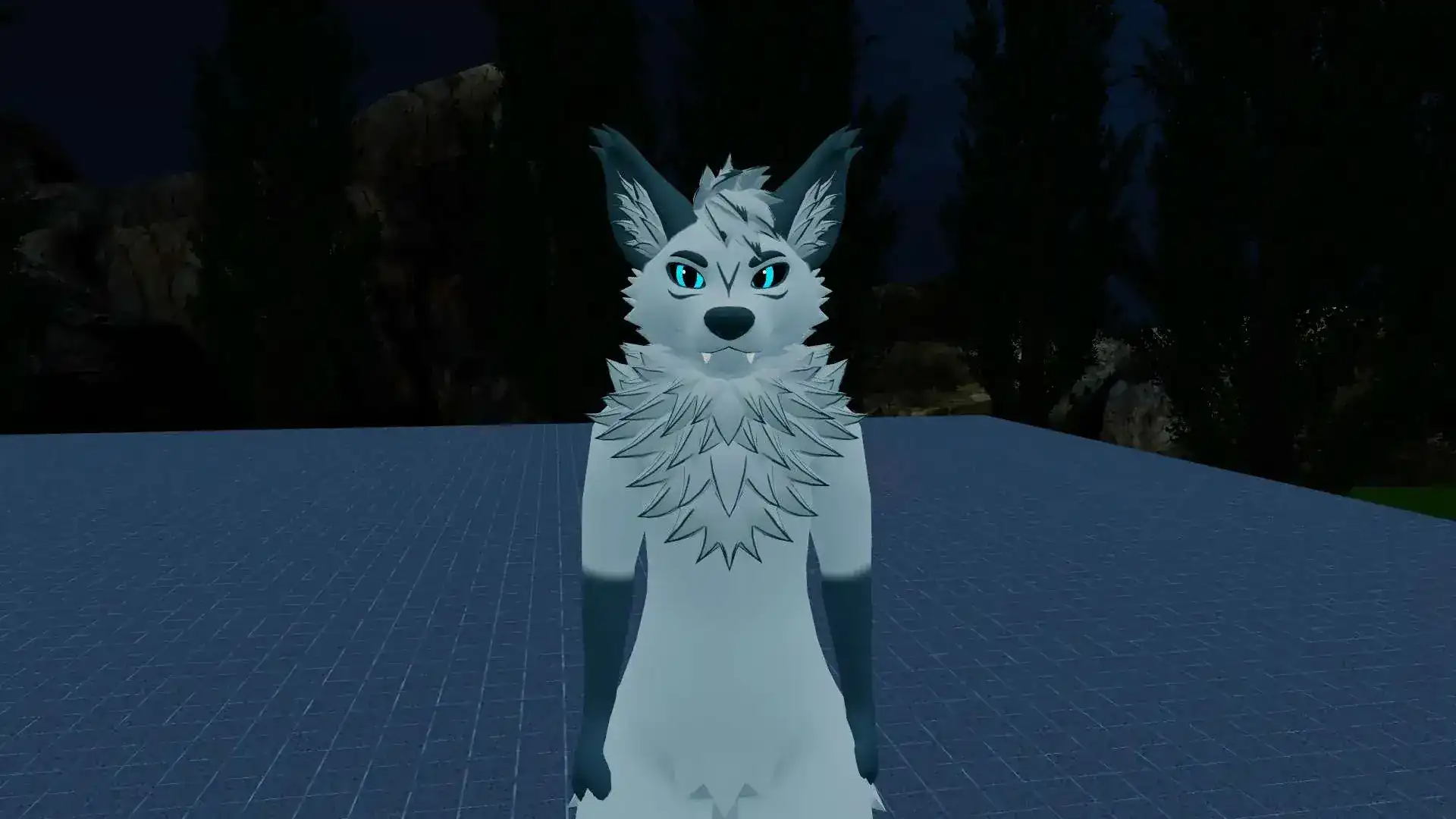 Azerin Adoptable