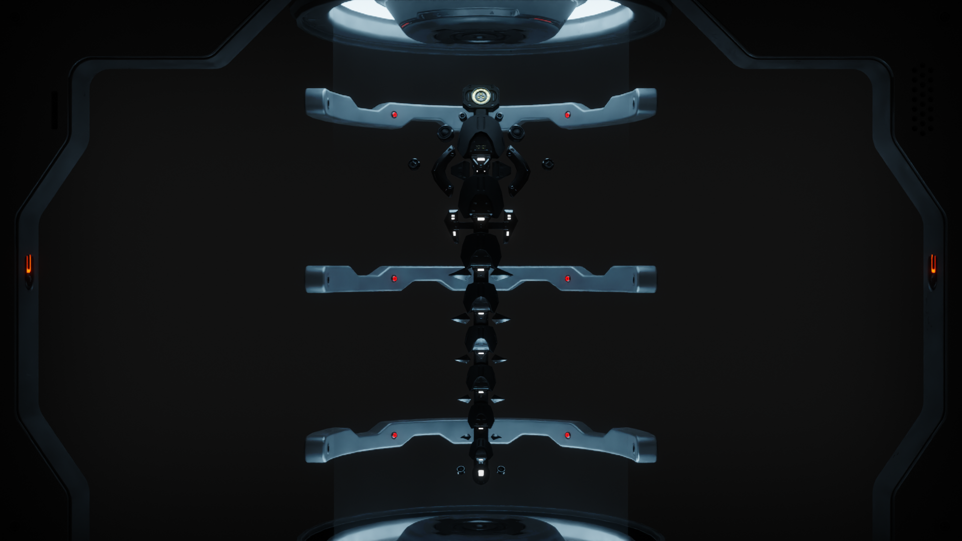 Nardoragon spinal augment