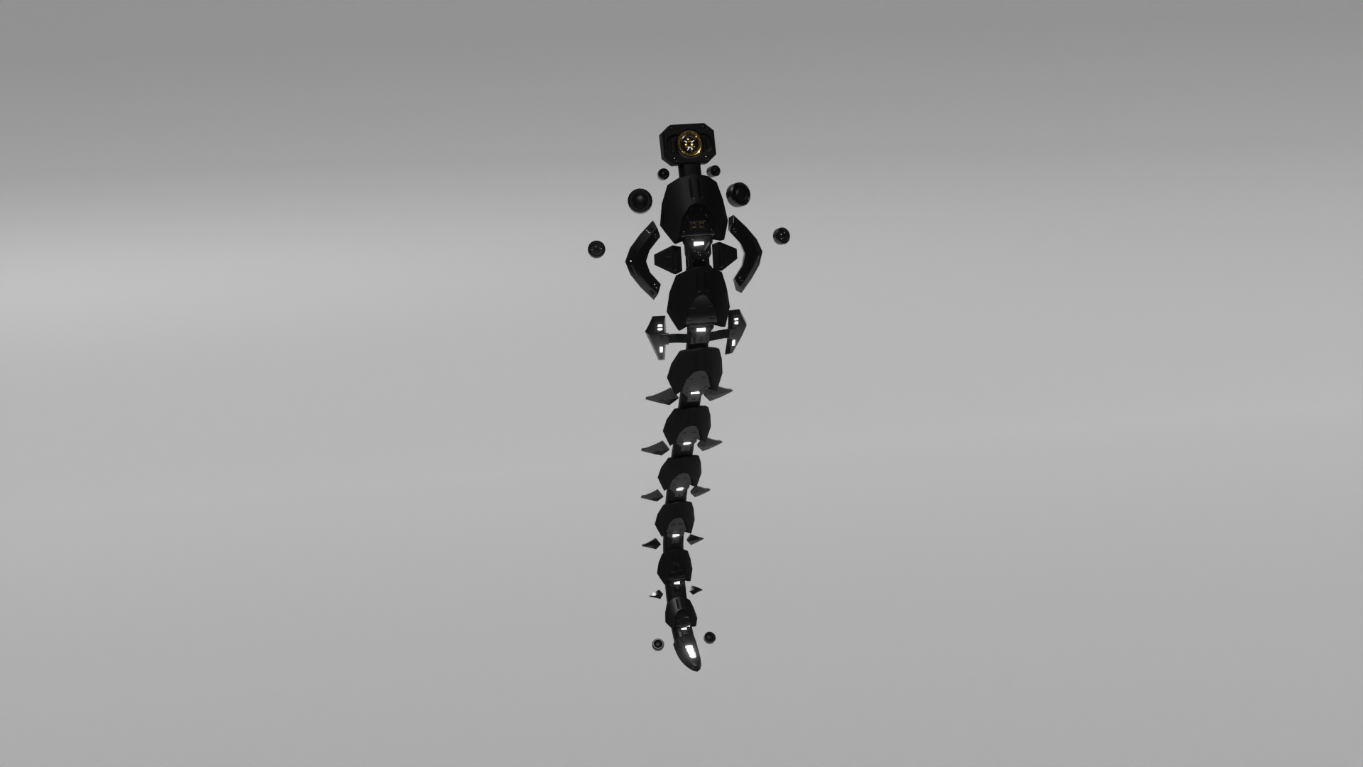 Nardoragon spinal augment