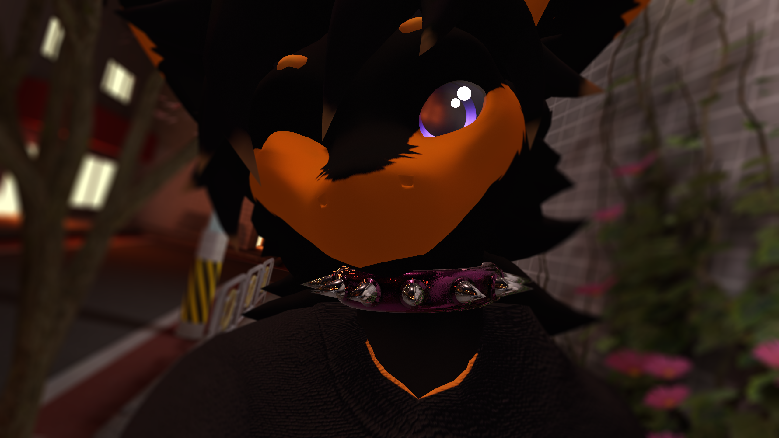 Spiked Collar for Nardoragons