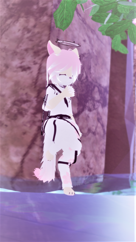 Cody - Softboy Nanachi