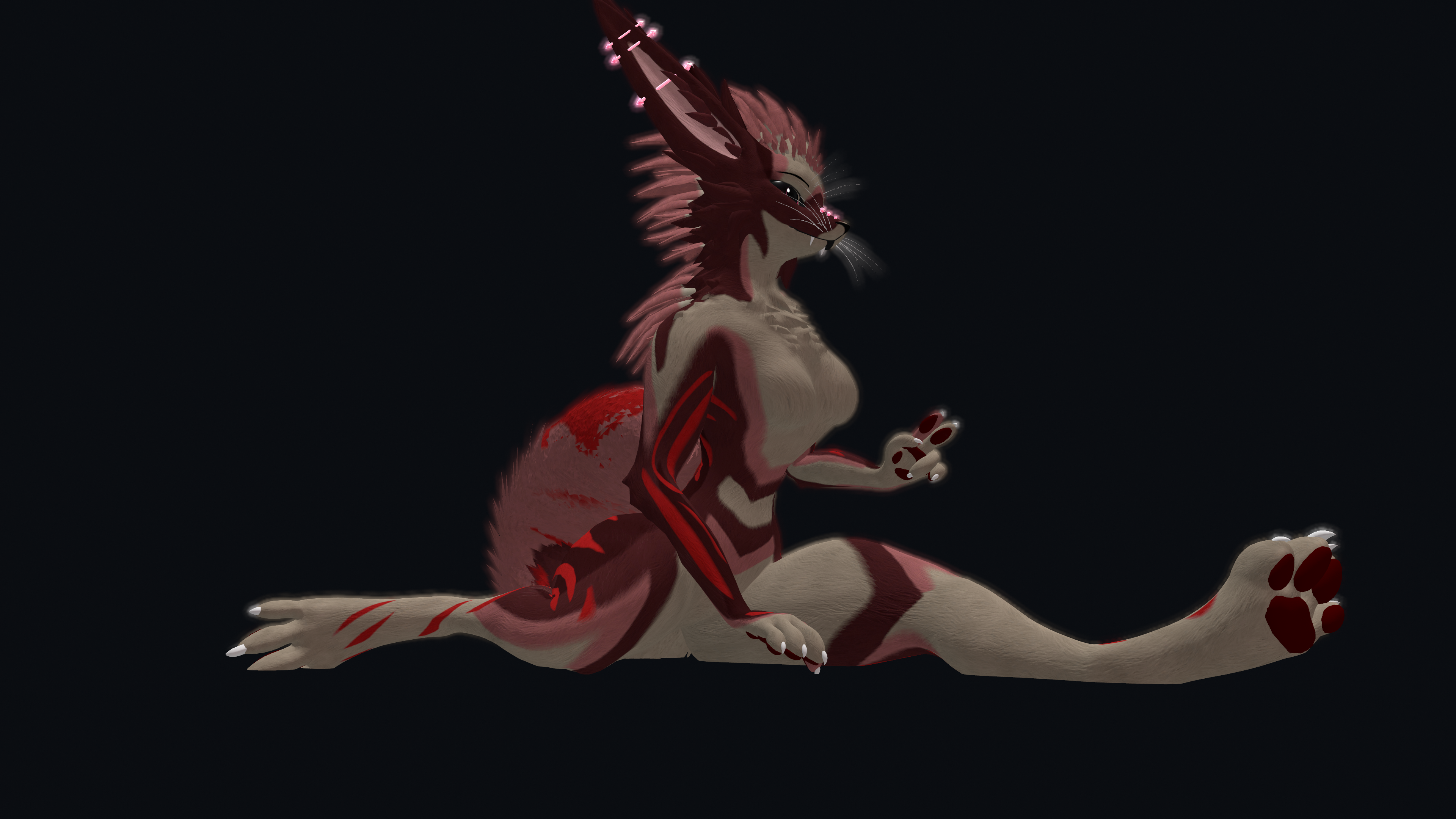 Stella Rexouium Texture