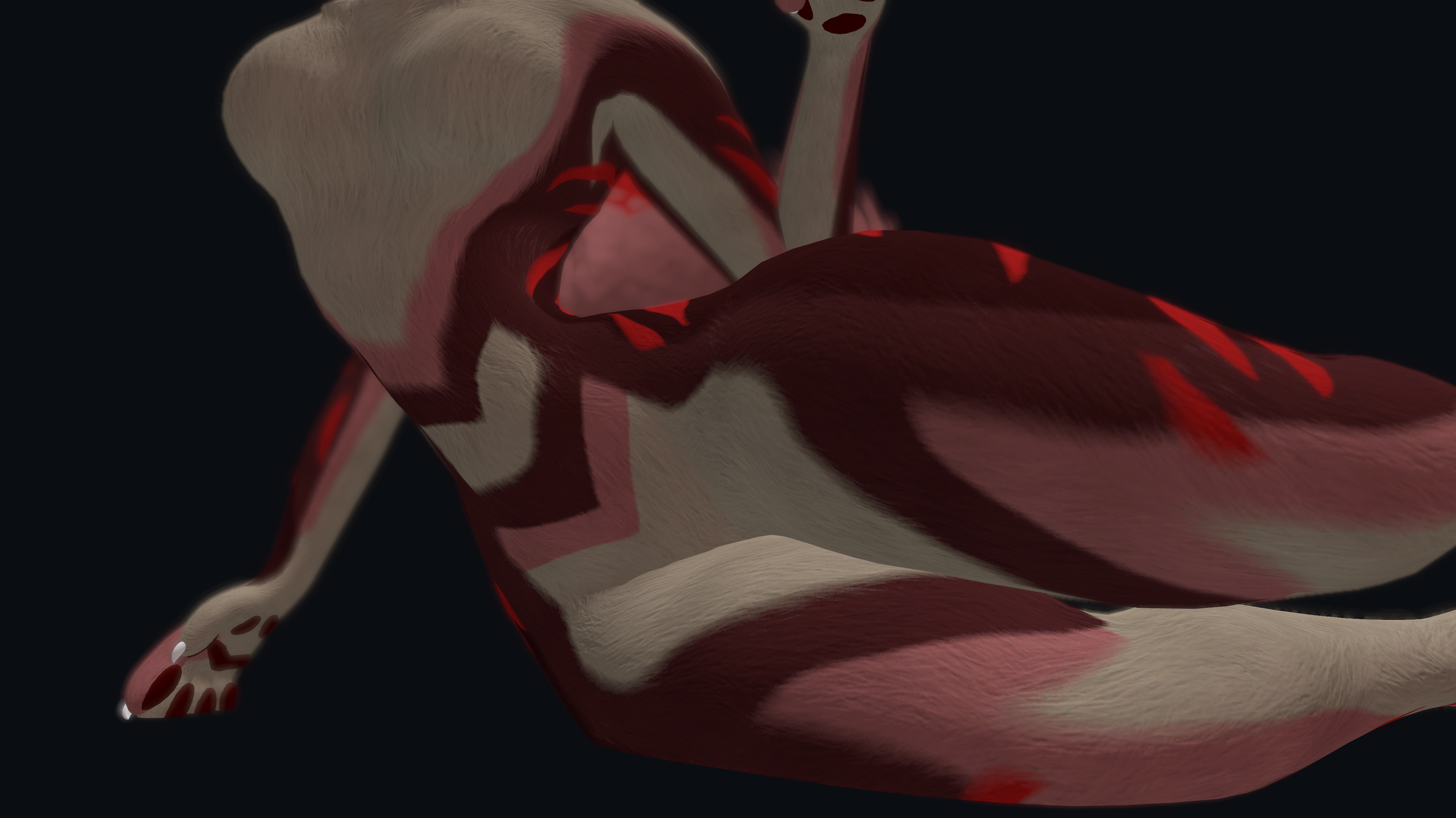 Stella Rexouium Texture