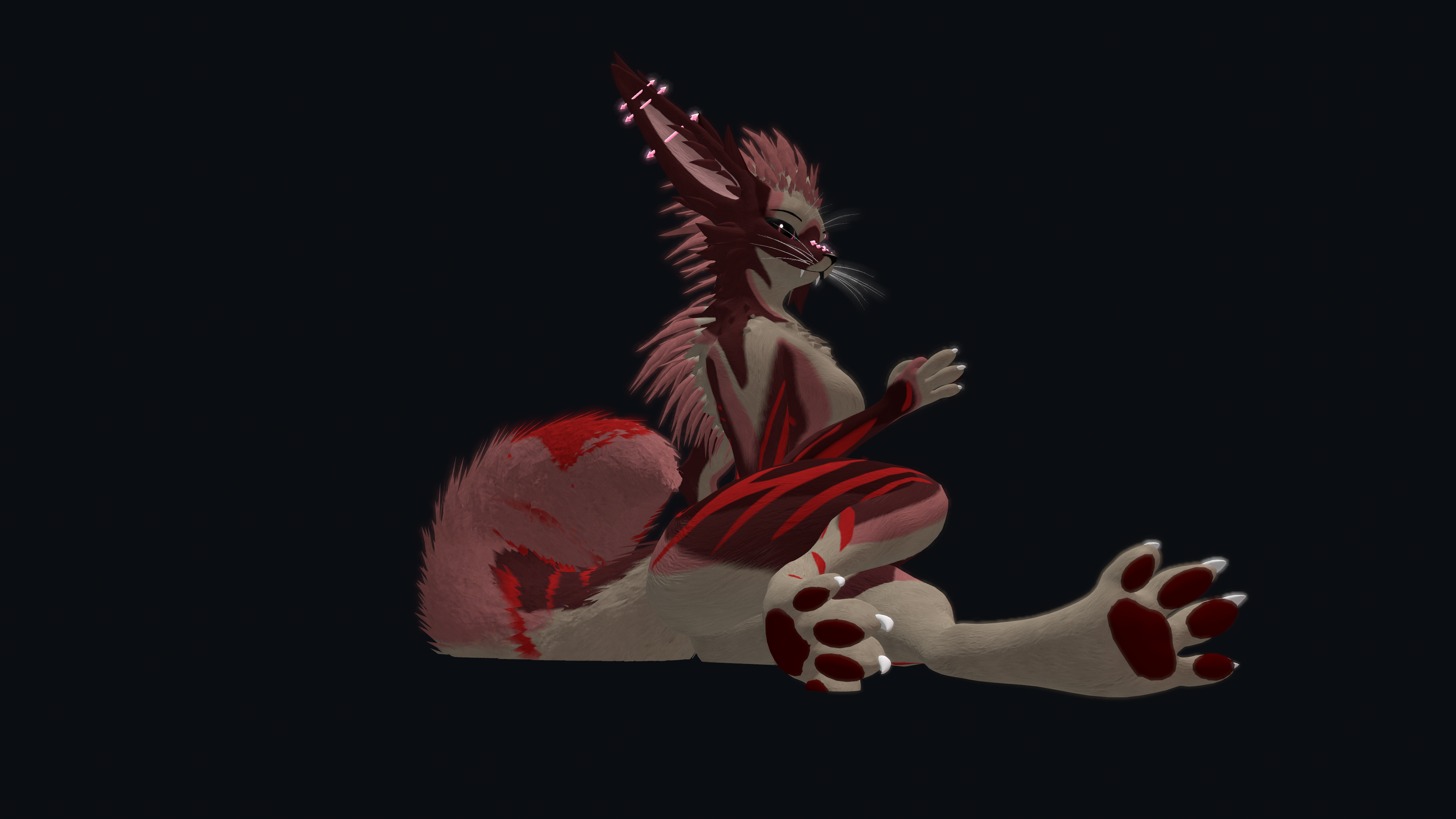 Stella Rexouium Texture