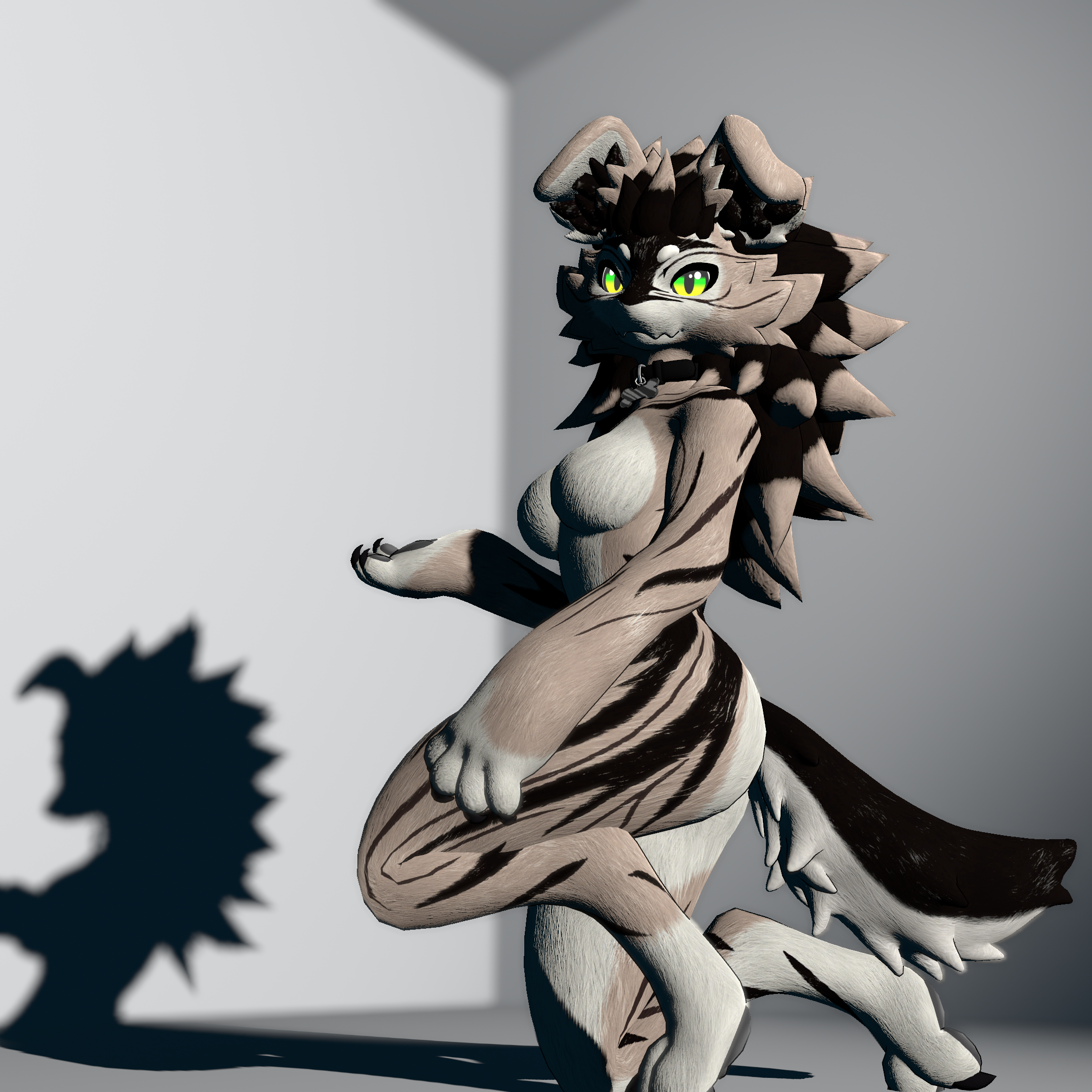 Nova Puppy Nimus