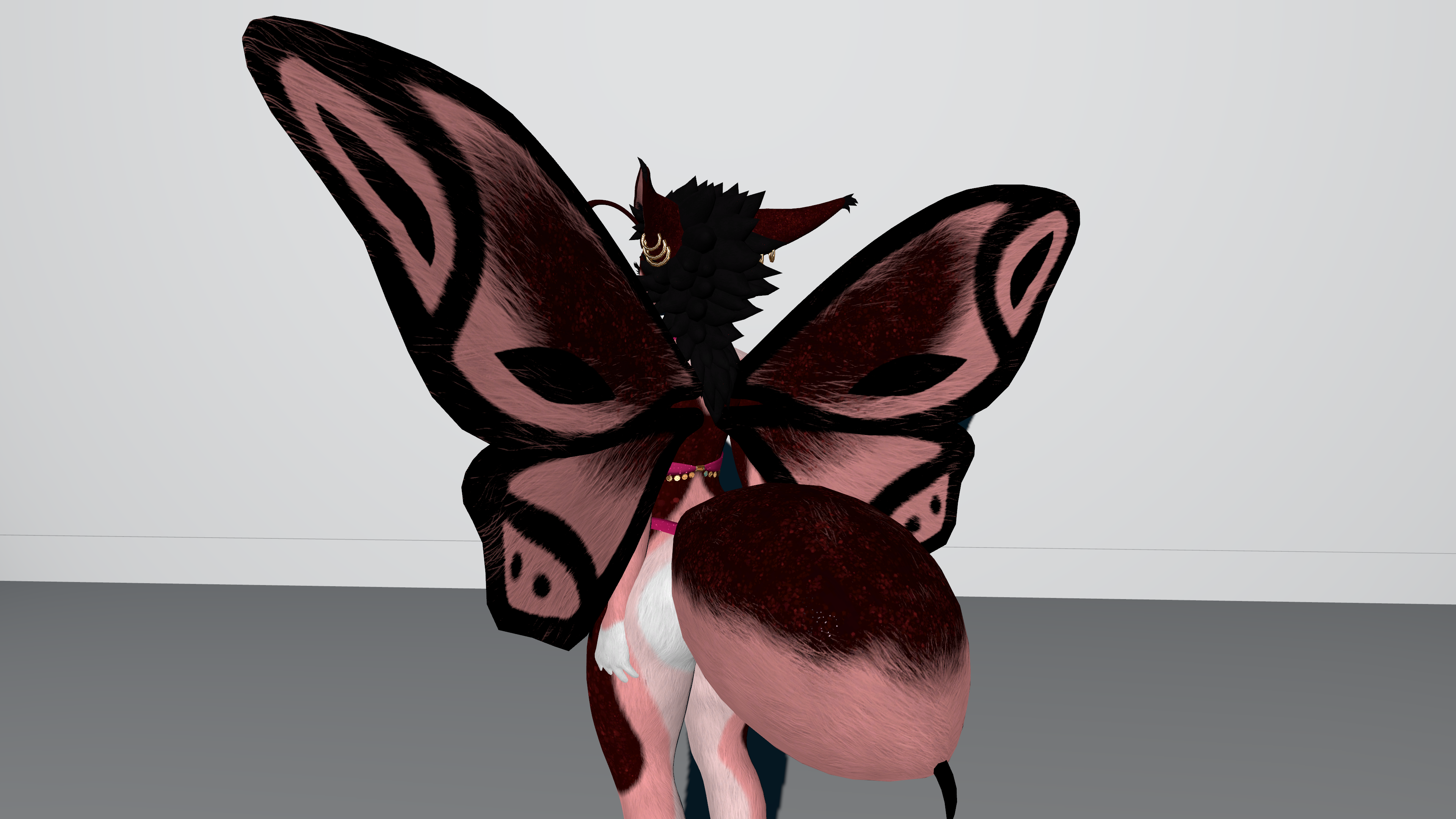 Fox Moth Persephone
