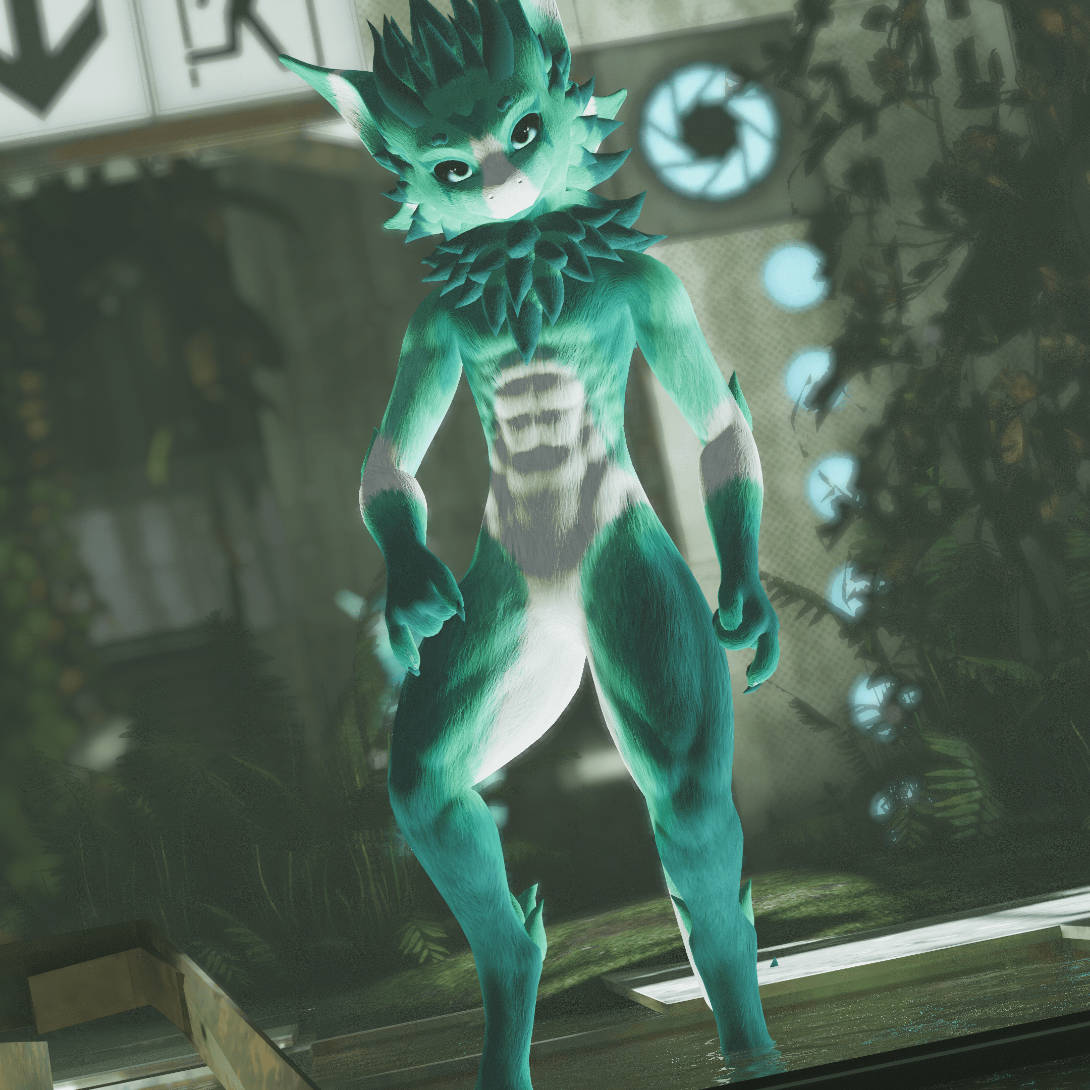 Alder - Nardo Dragon