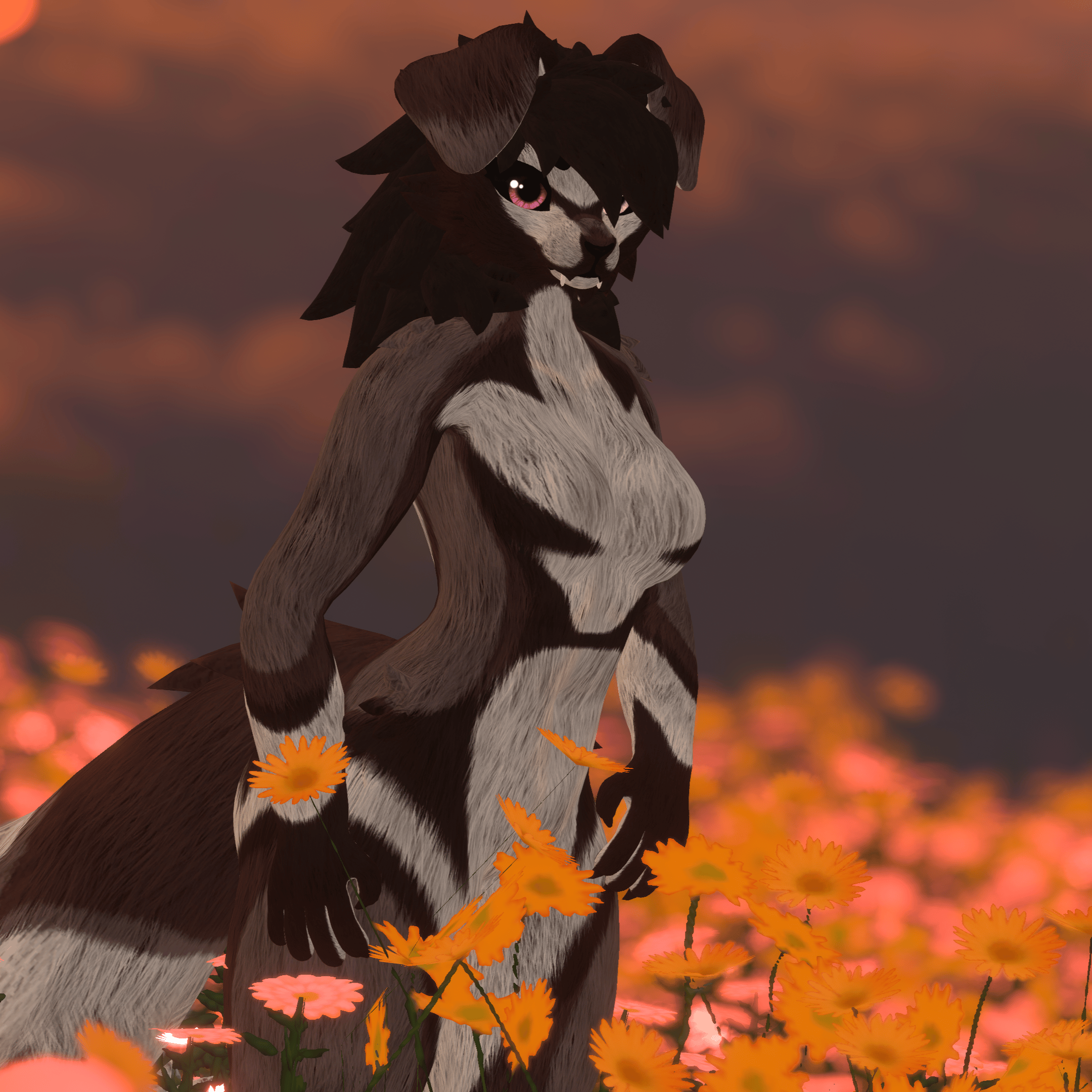 Leandra - Suna by Heavenly
