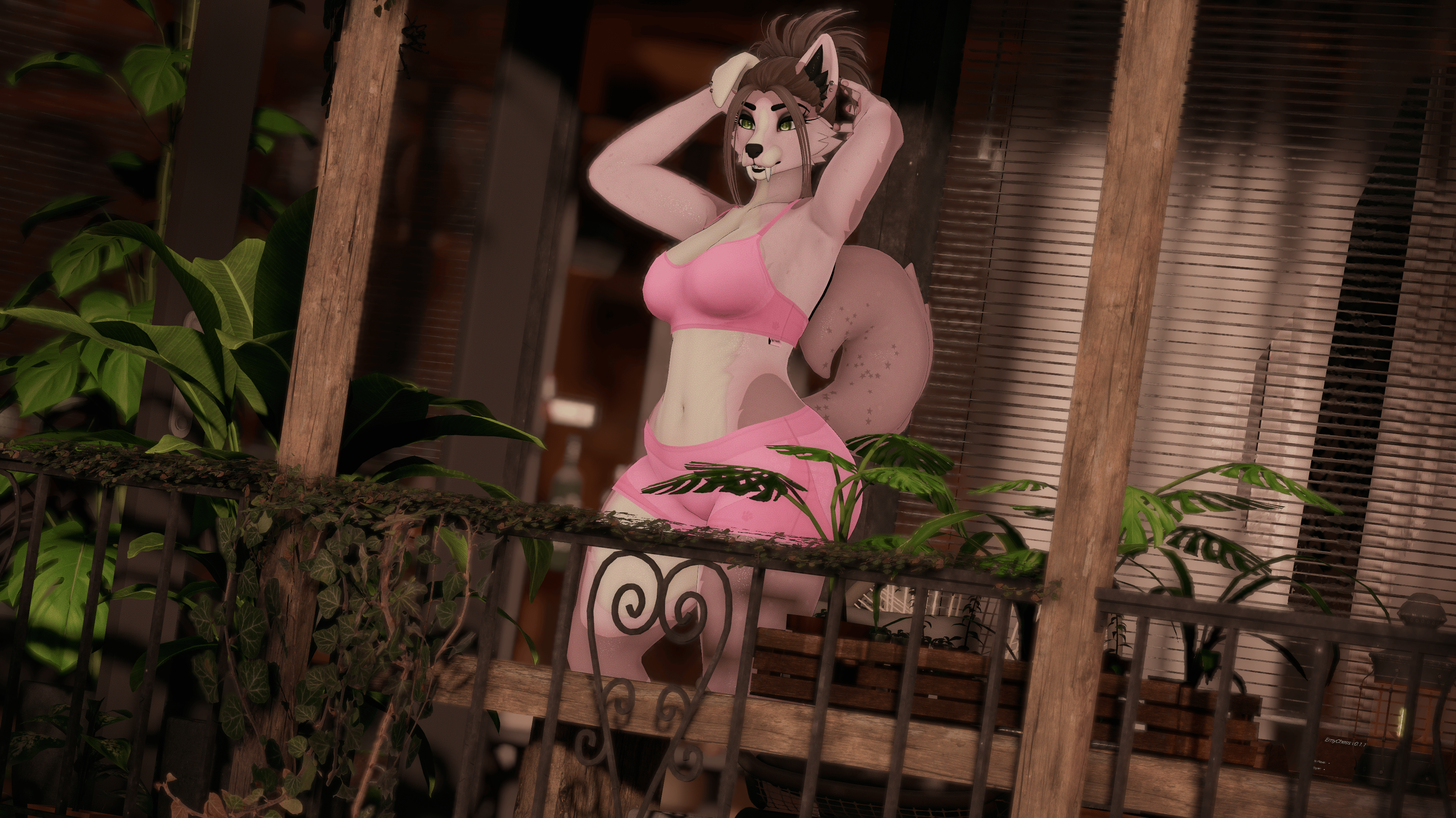 Lola - Foxipaws Roxy