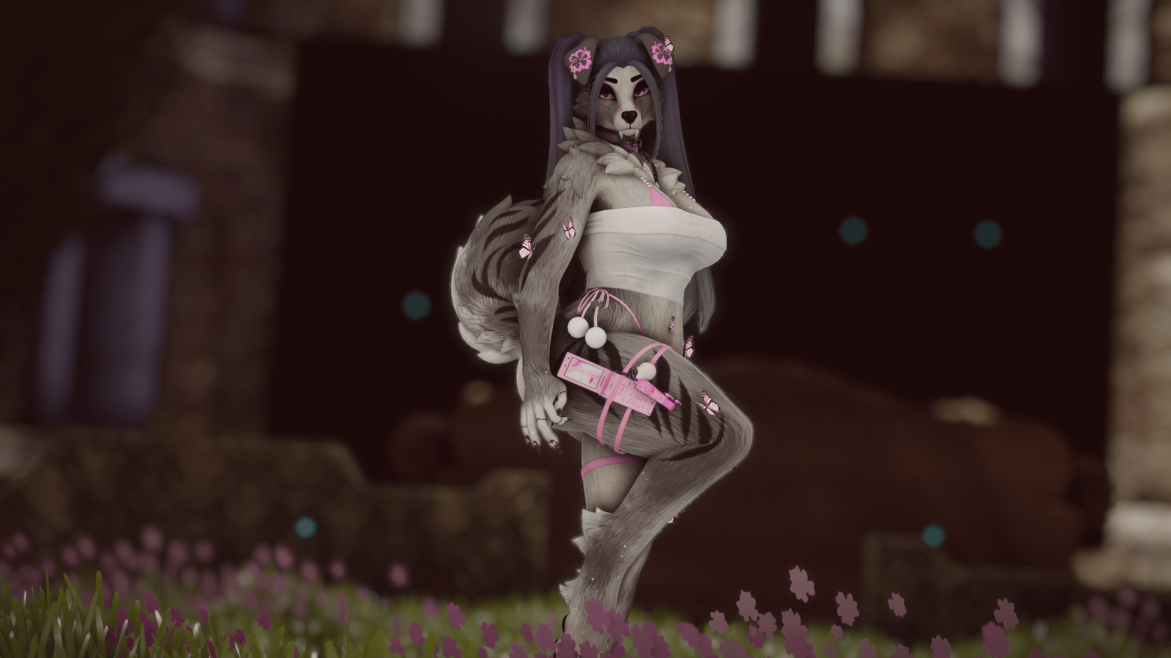 Mia - Foxipaws Roxy