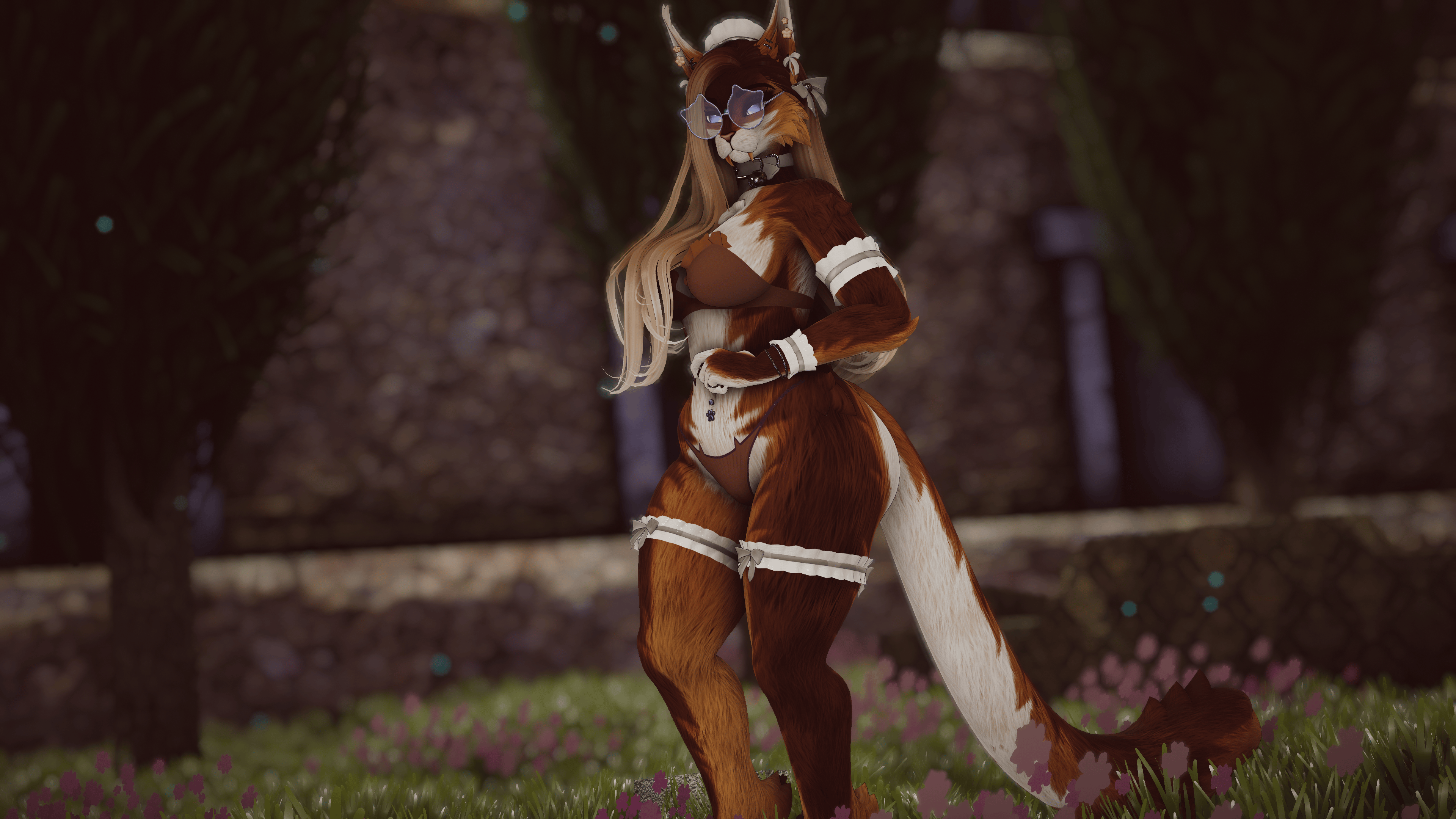 Stella - Nyx Foxipaws
