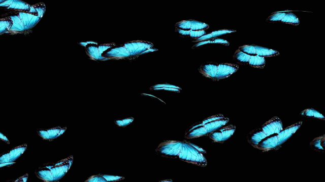 Banner Background