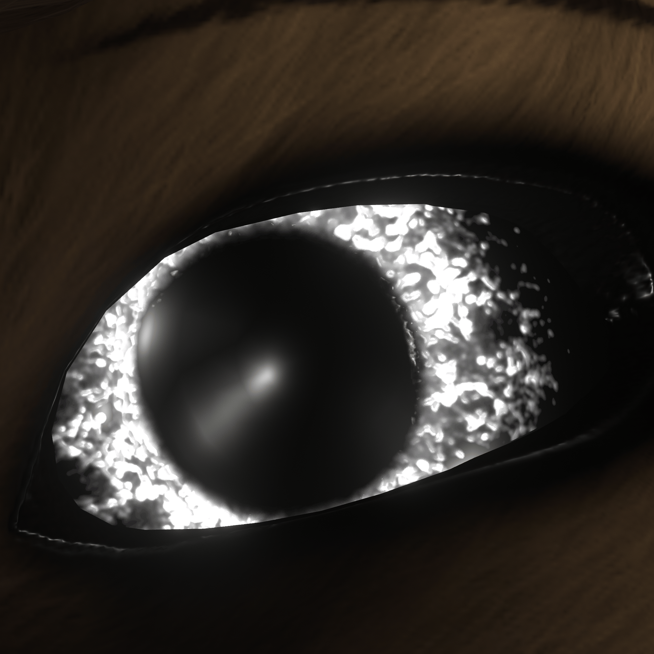 Rexouium Eye Textures Pack V3