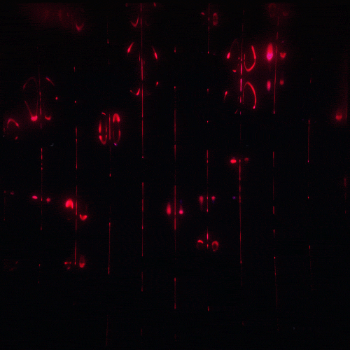 Banner Background