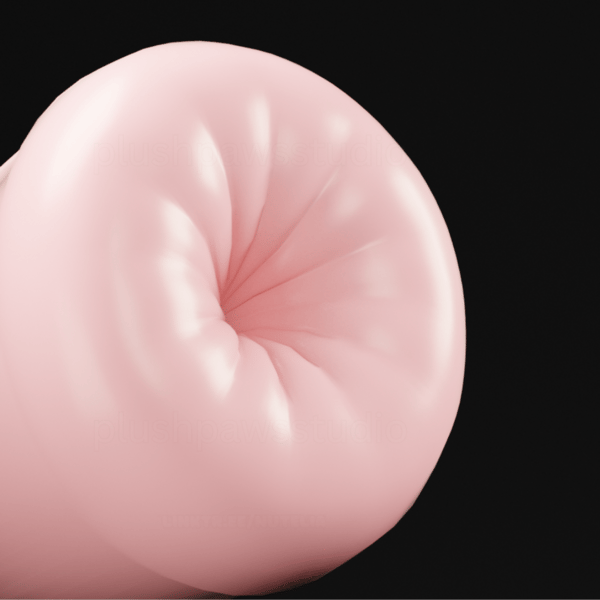 🍩 Donut