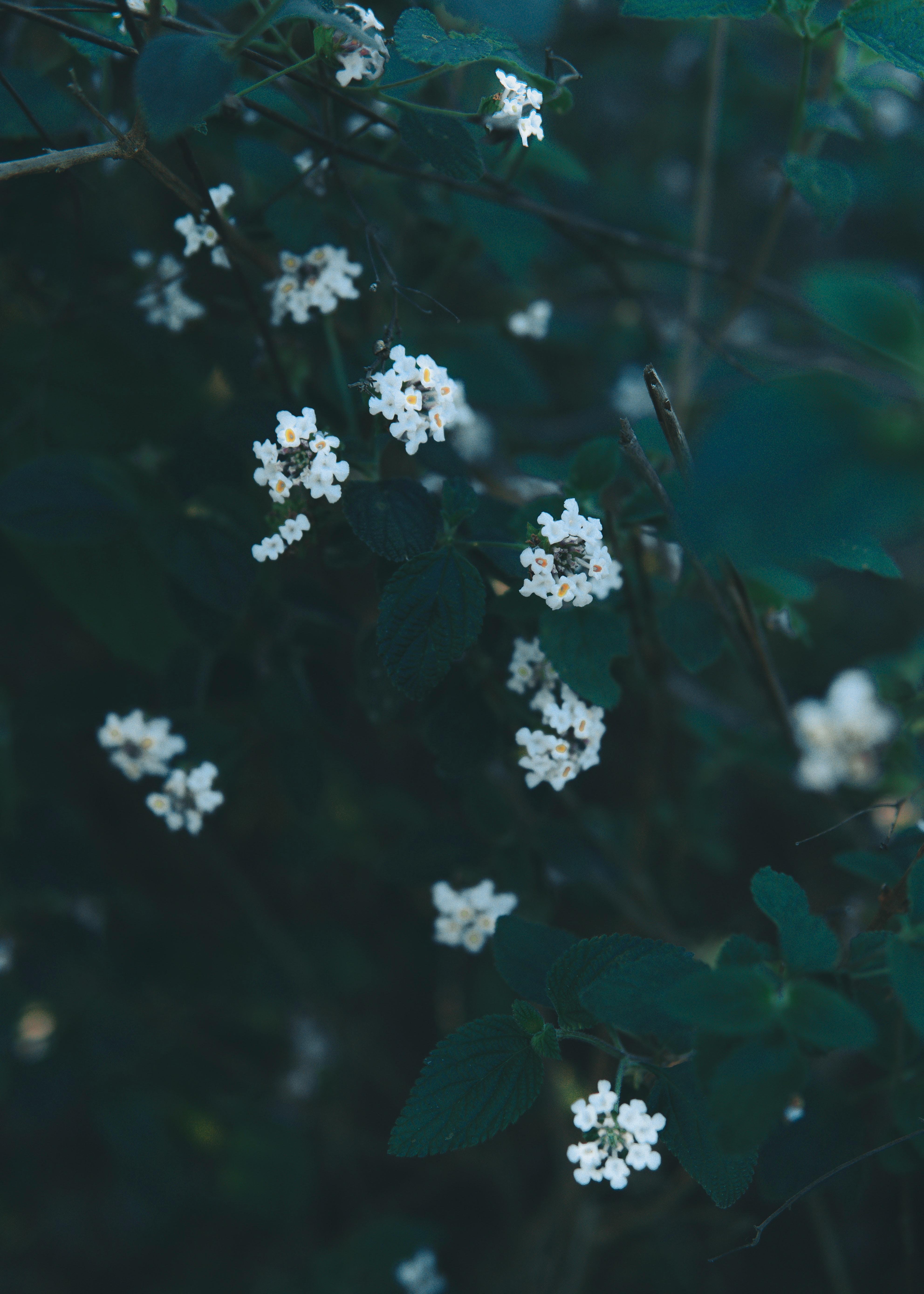 Banner Background