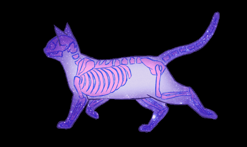 Banner Background