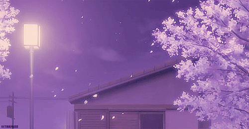 Banner Background