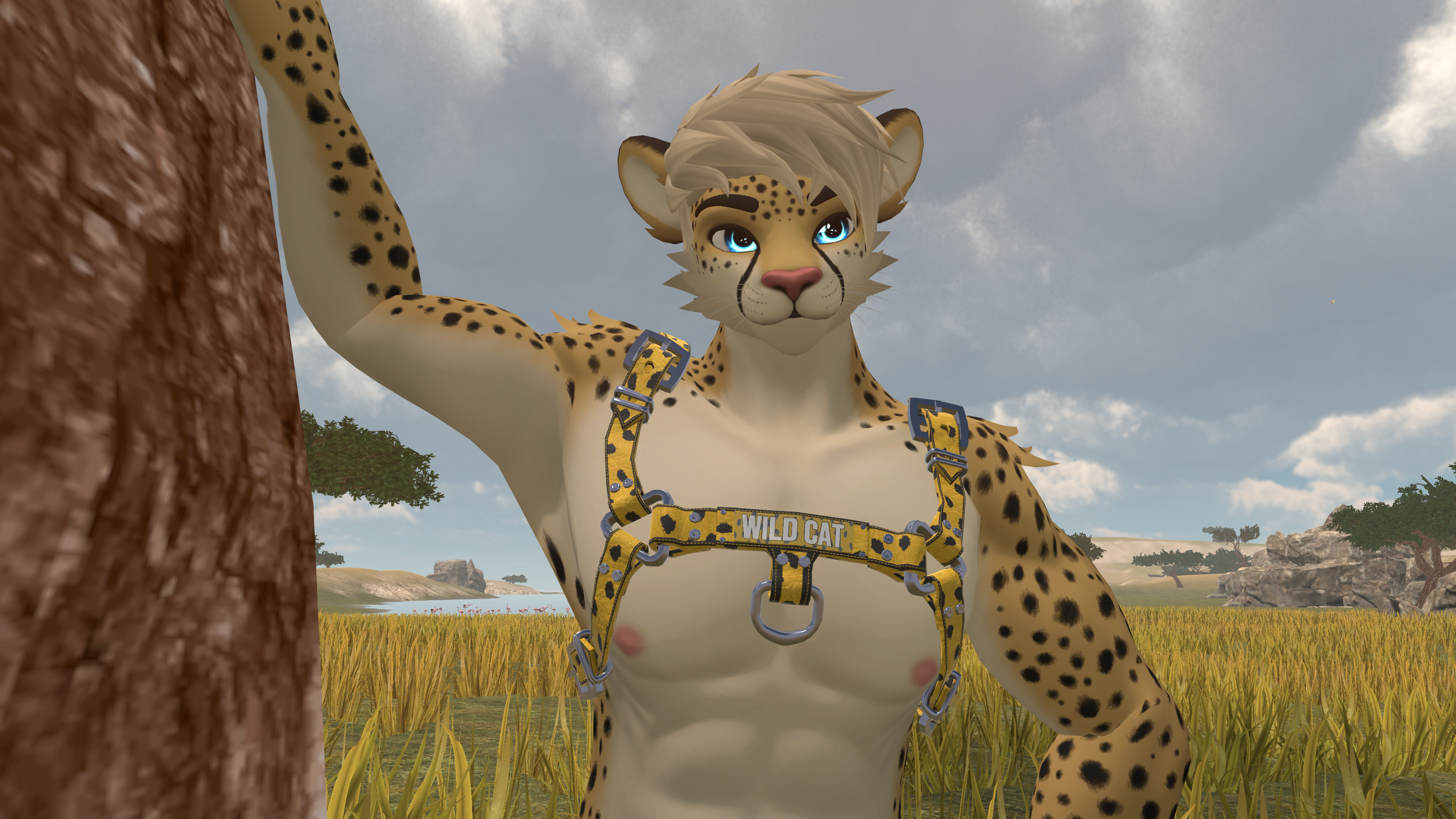 Ghostly Male WildCats - Bulldog Harness
