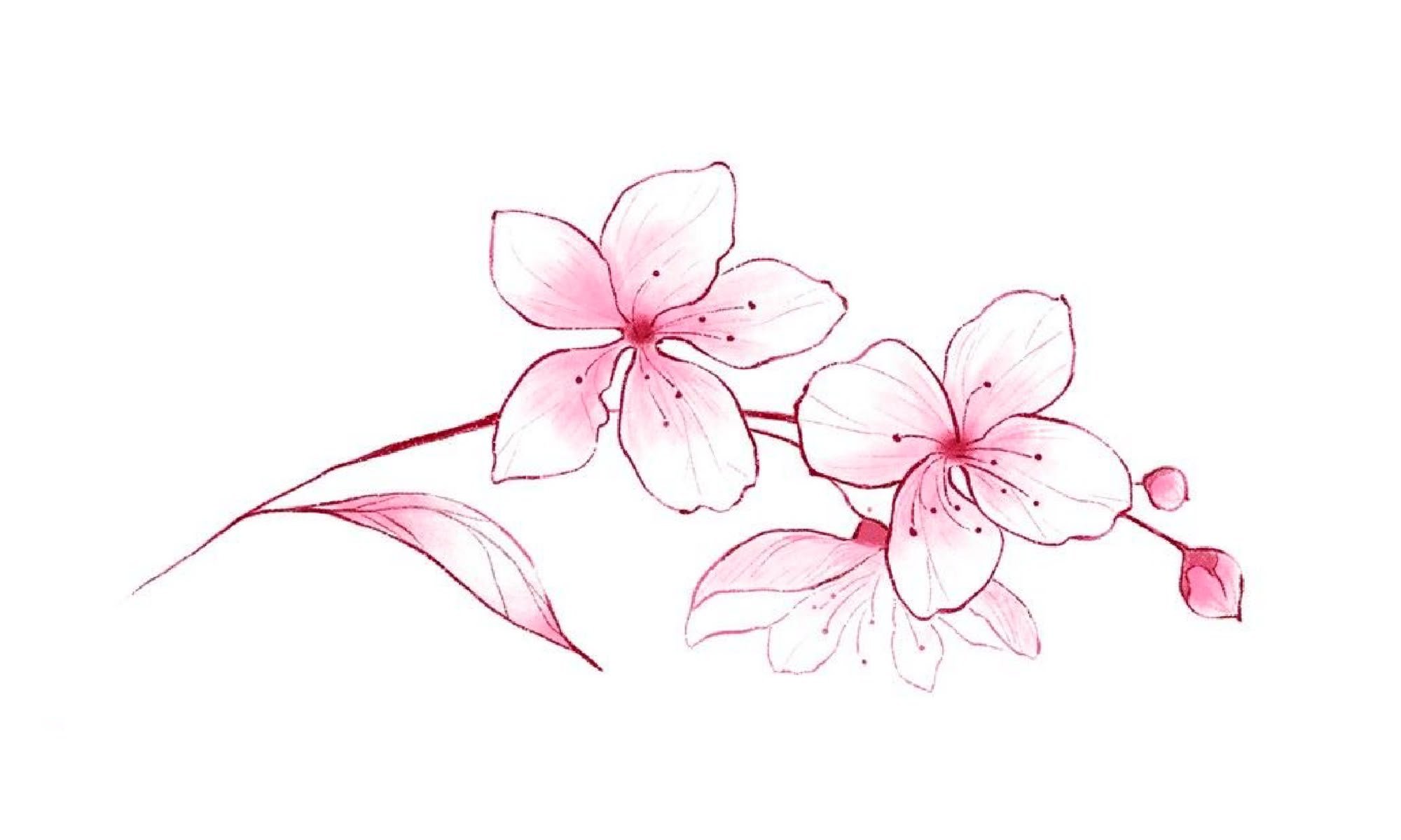 Banner Background