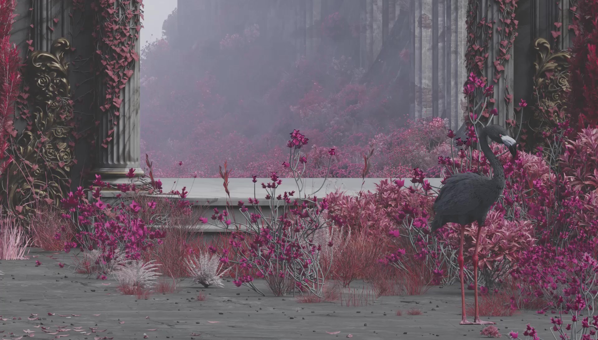 Banner Background