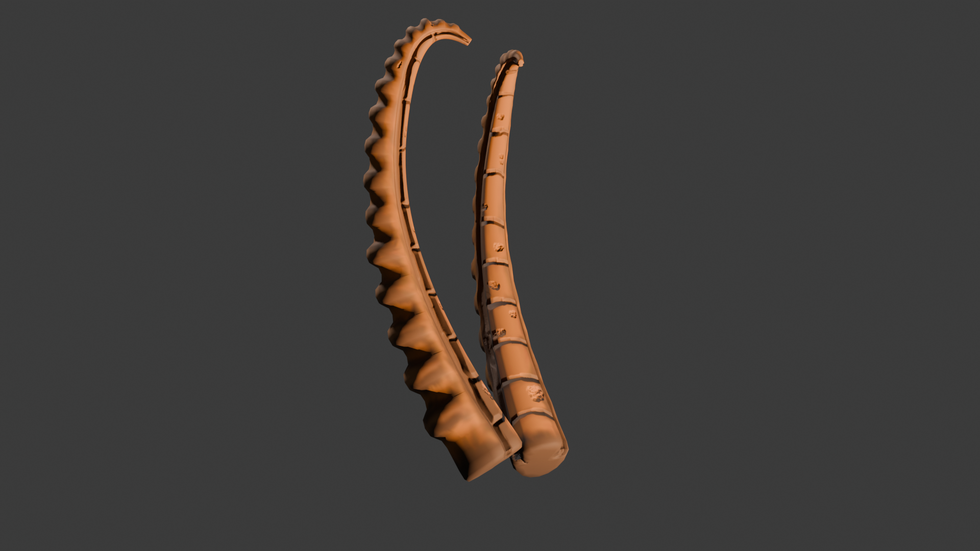 Ibex horns