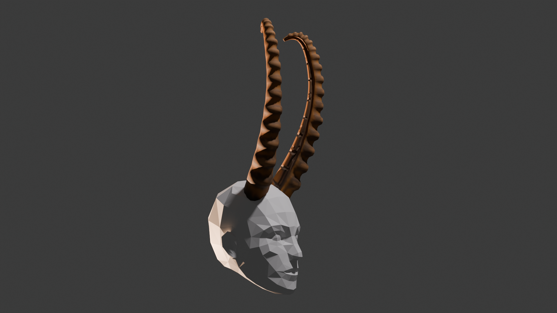 Ibex horns