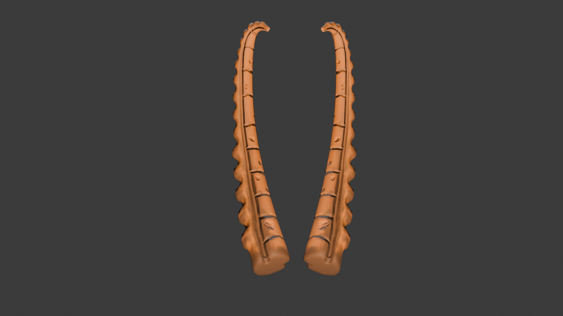 Ibex horns