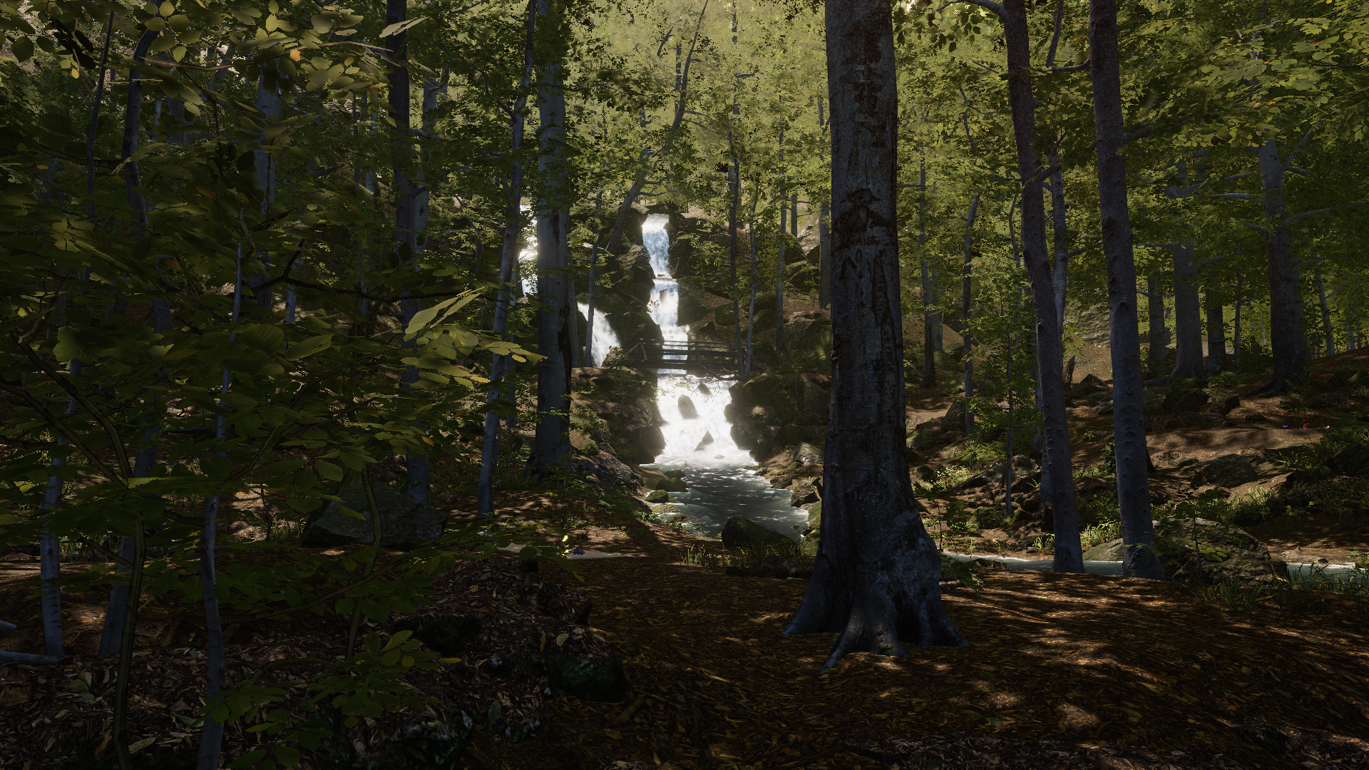Banner Background