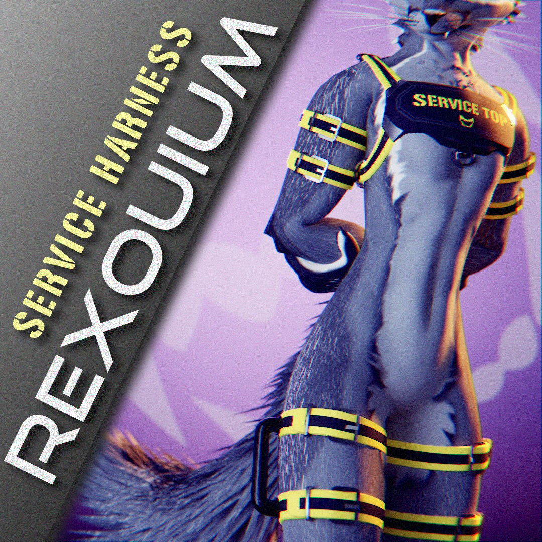 Service Harness for the Rexouium + Magpie