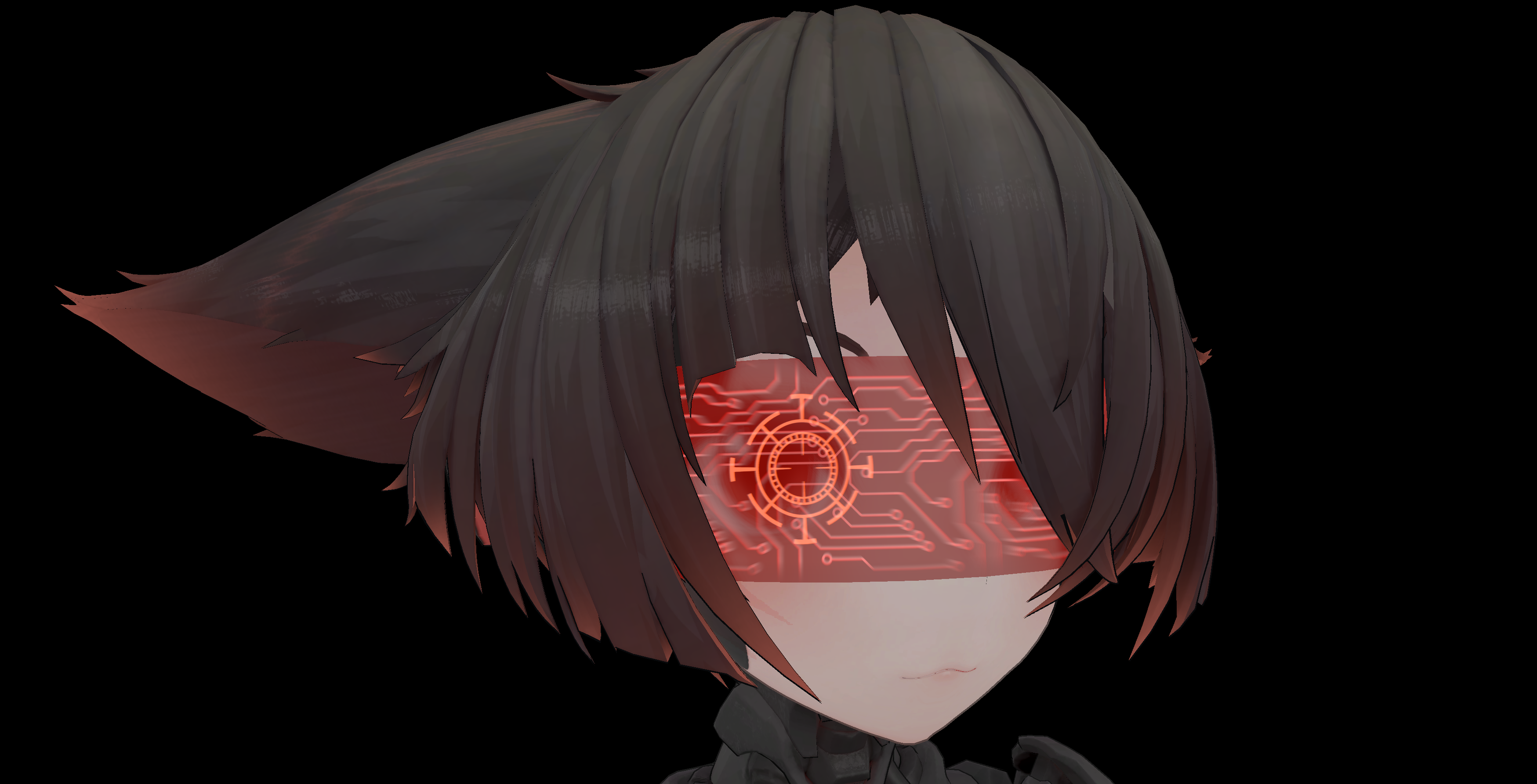 BAN - HoloVisor