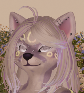 Angelic Wish Meeko