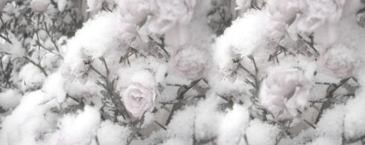 Banner Background
