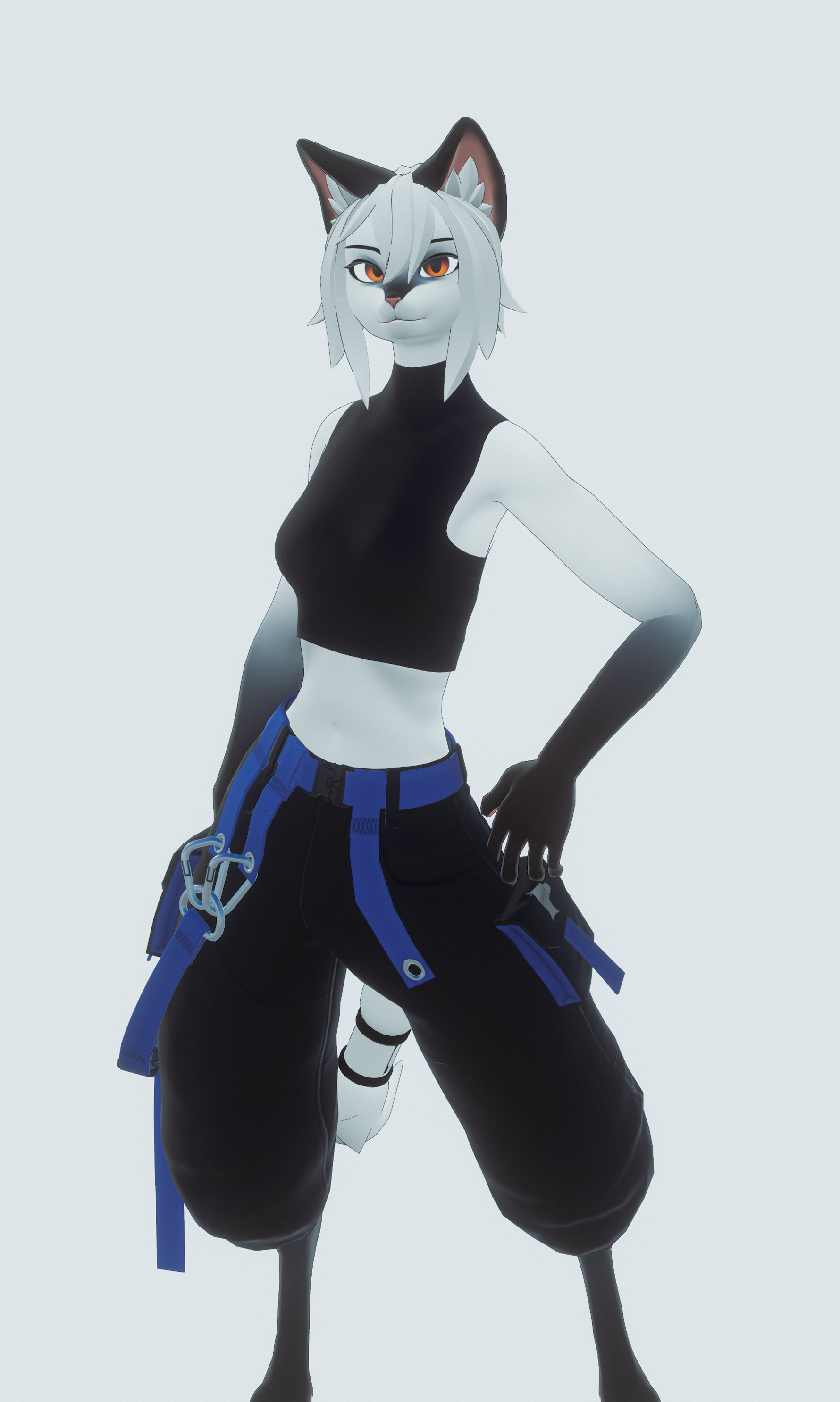Crop Techwear V2