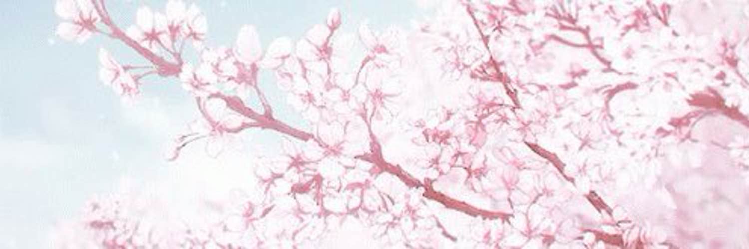 Banner Background