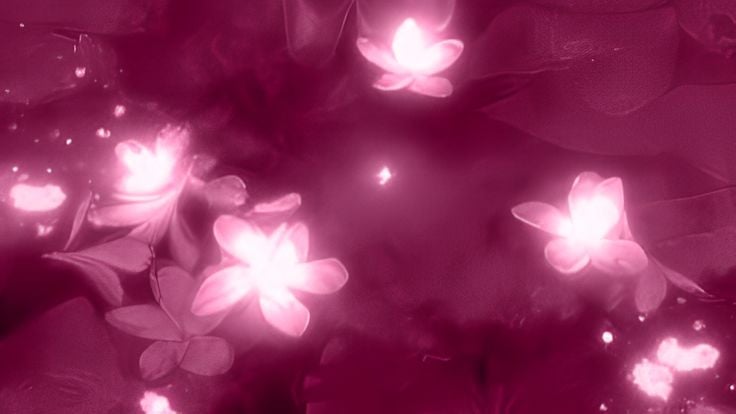 Banner Background