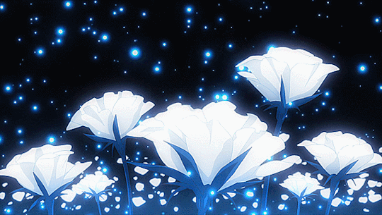 Banner Background