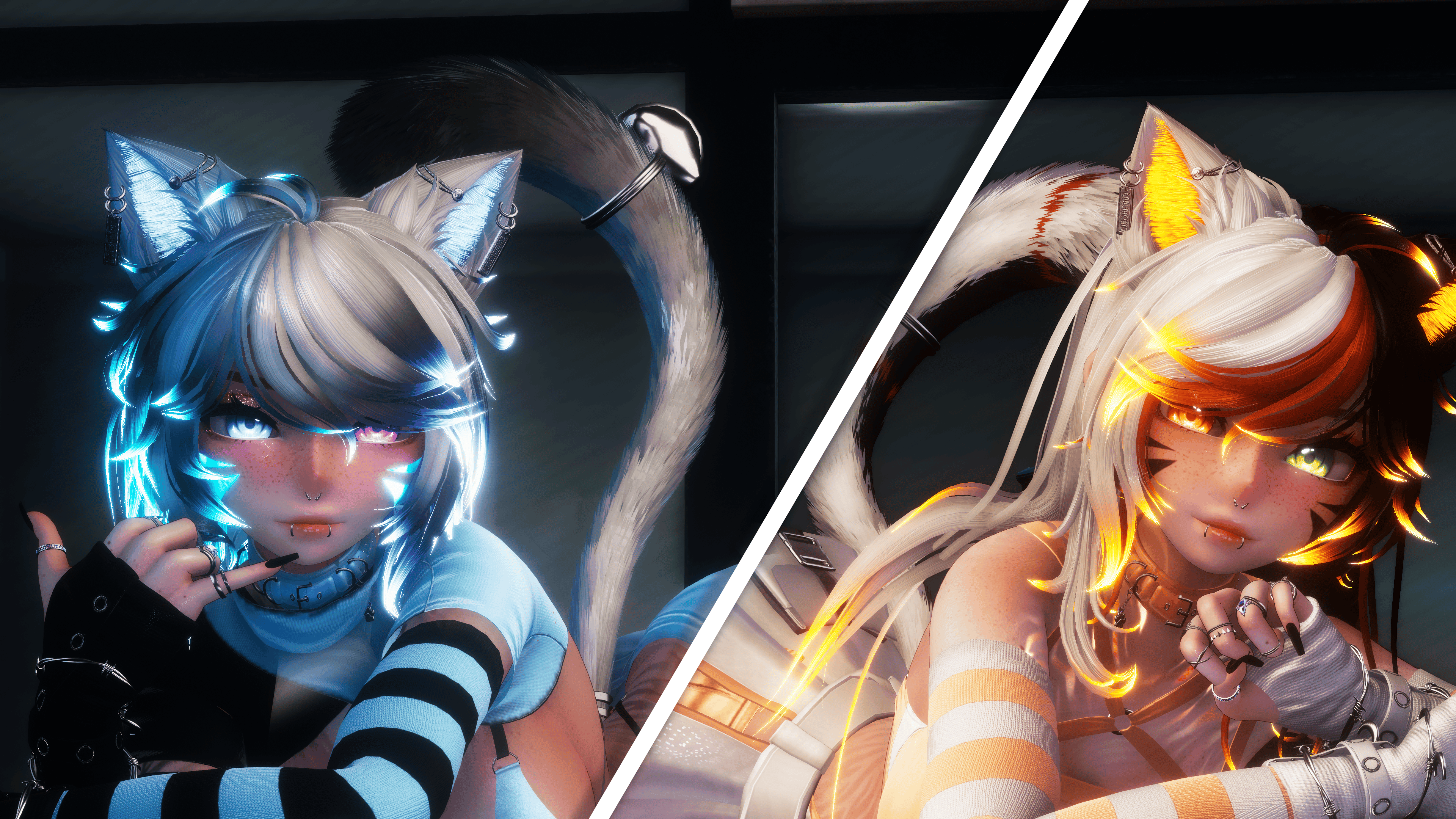 Banner Background