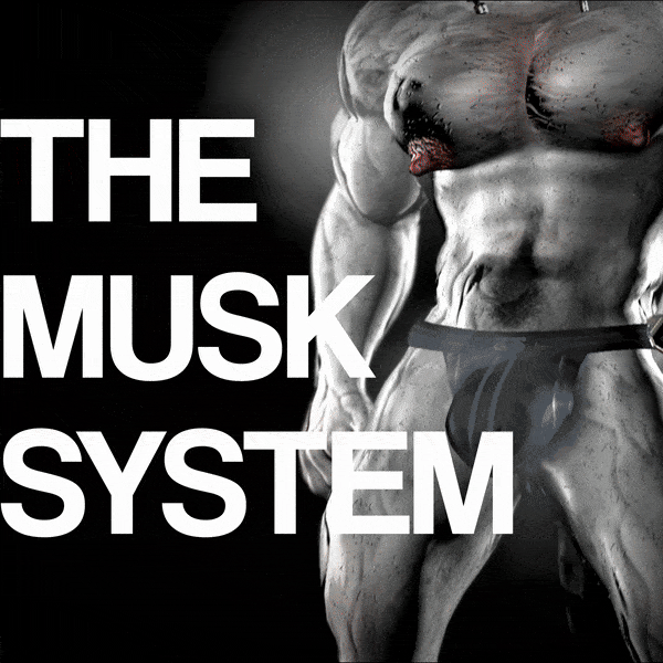 THE MUSK SYSTEM