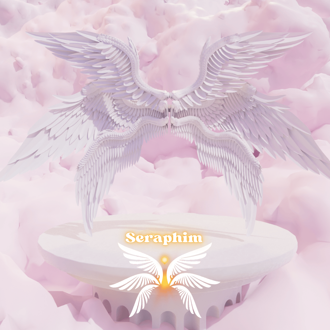 Detailed Angel/Seraphim Wings | Set of 6 |