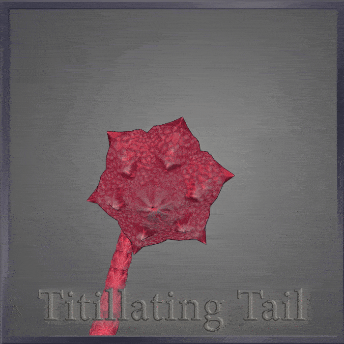 Titillating Tail
