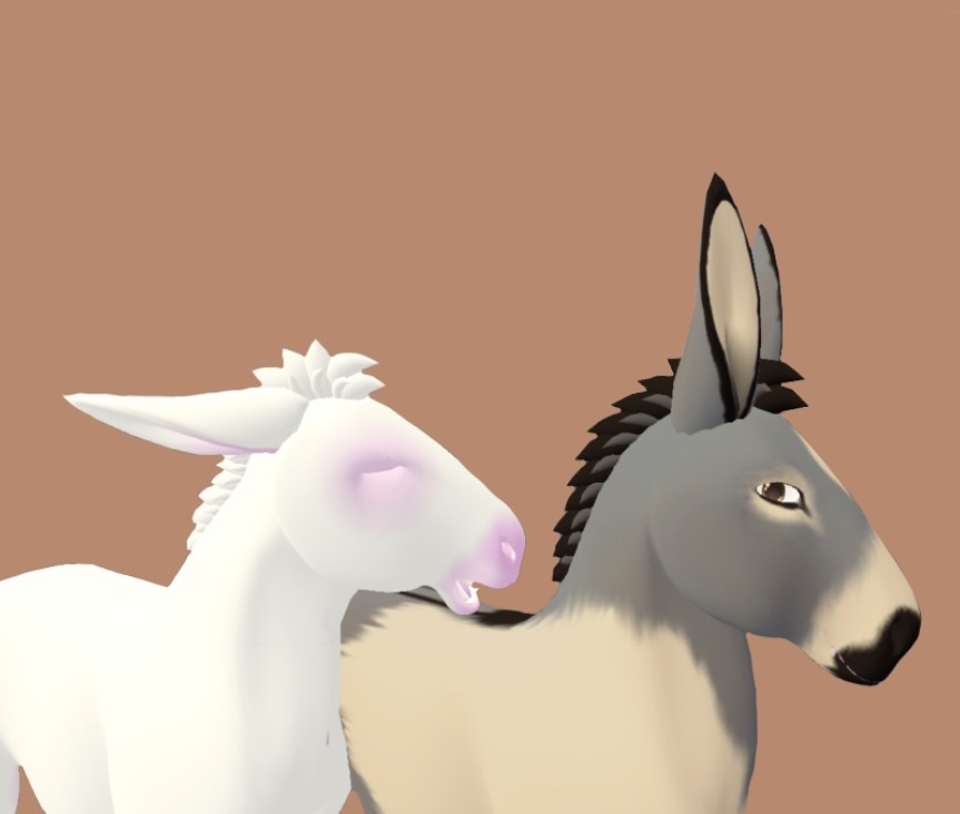 Free donkey for vrchat