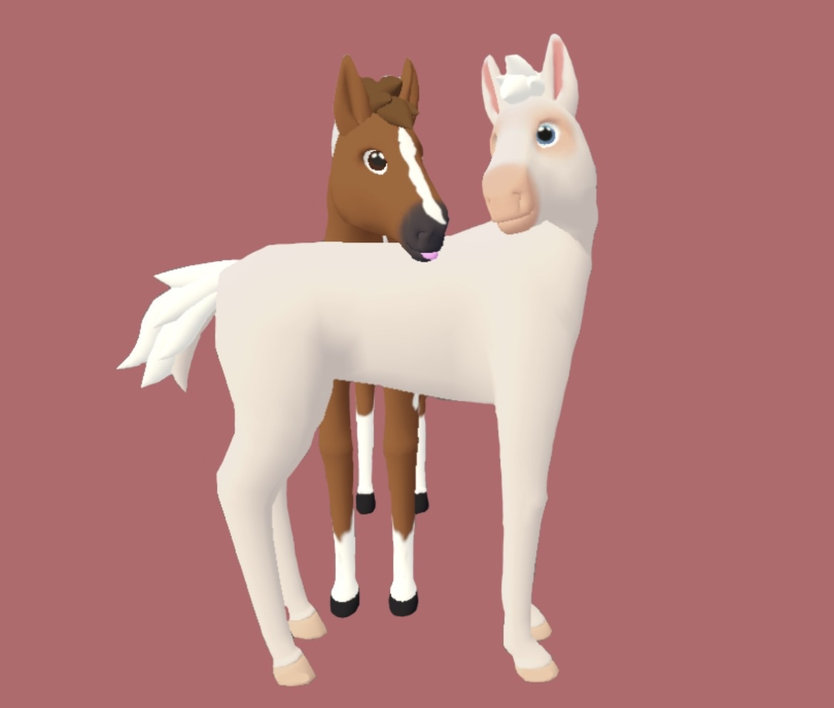 Foal