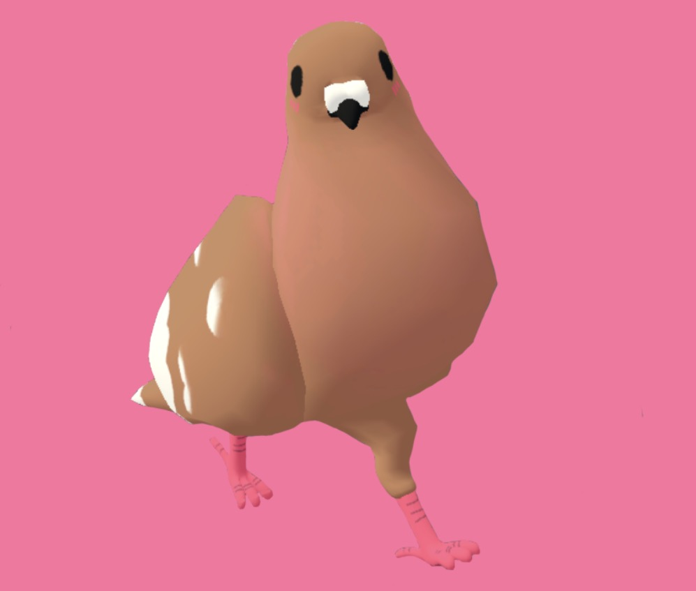 Pigeon