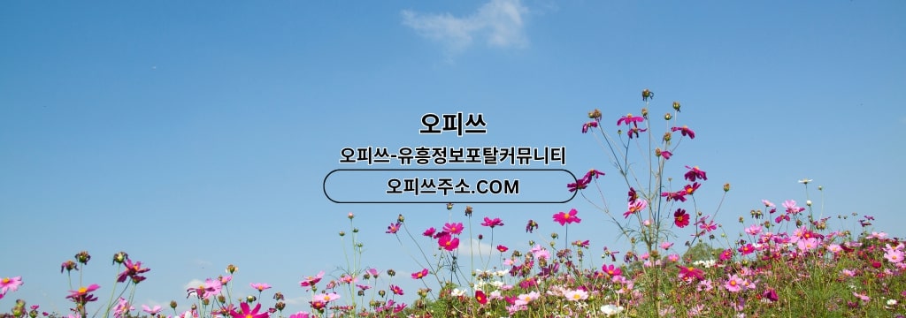 Banner Background