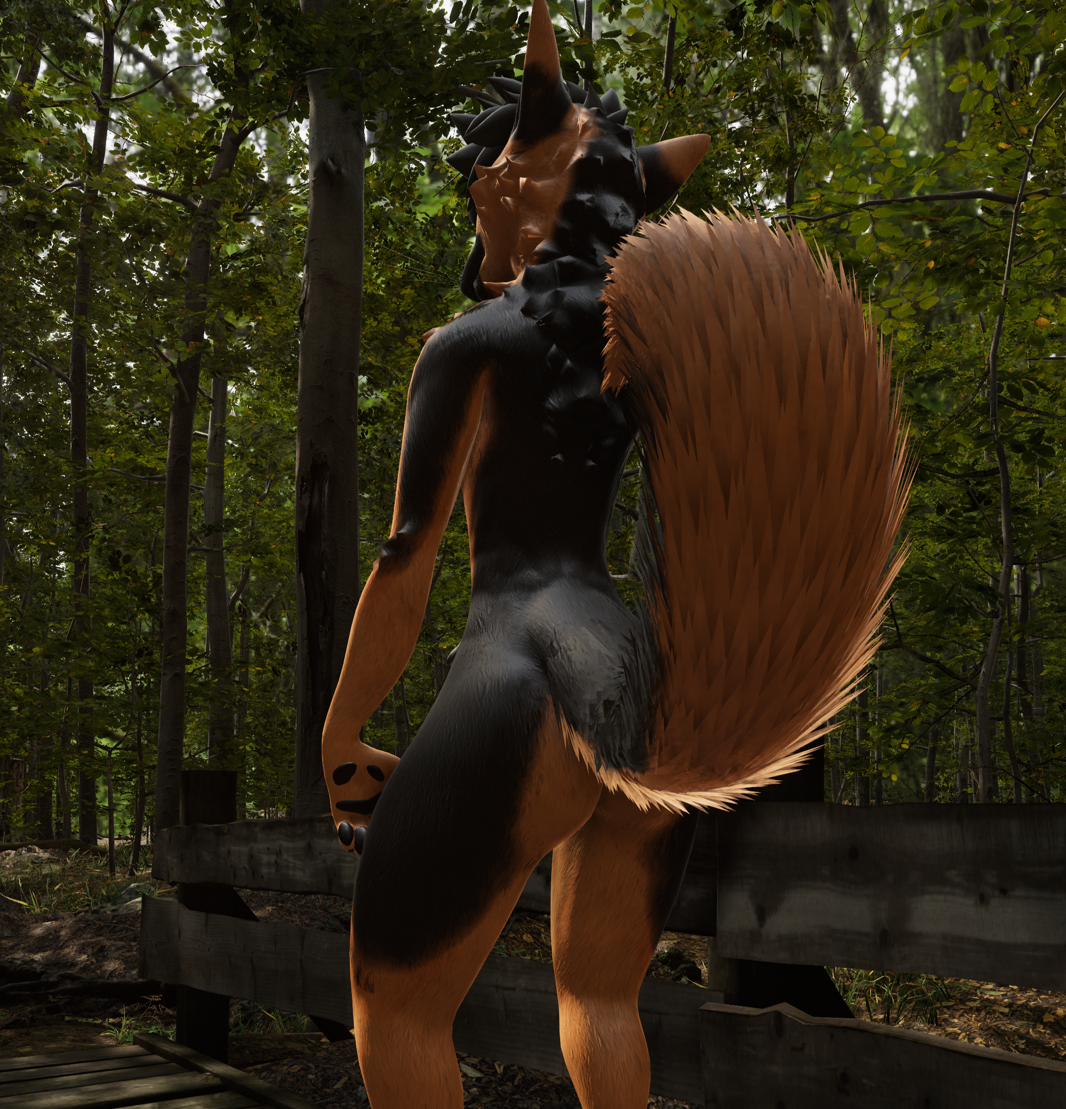 Rex German Shepard Textures