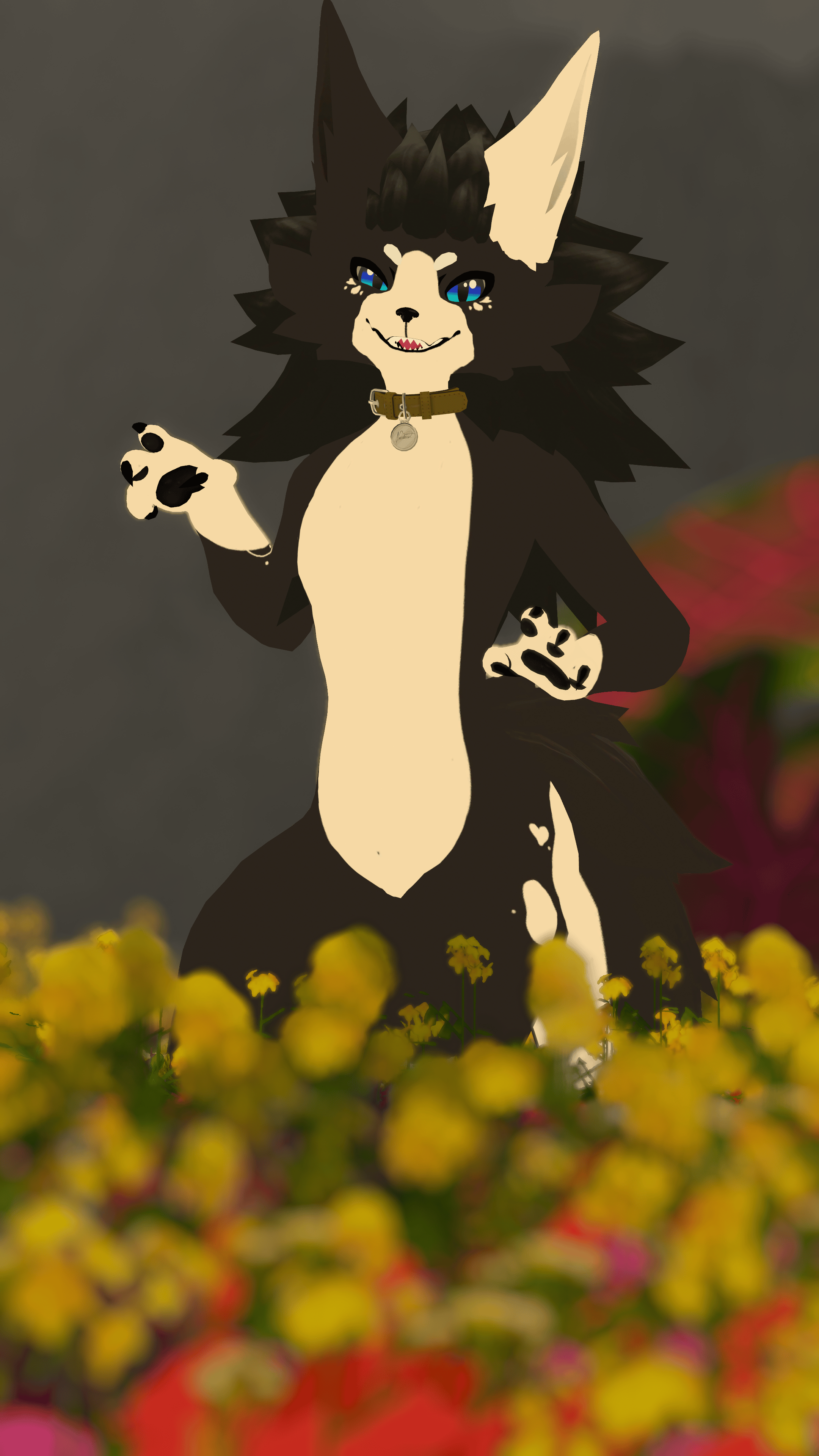 Novabeast Border Collie Texture!