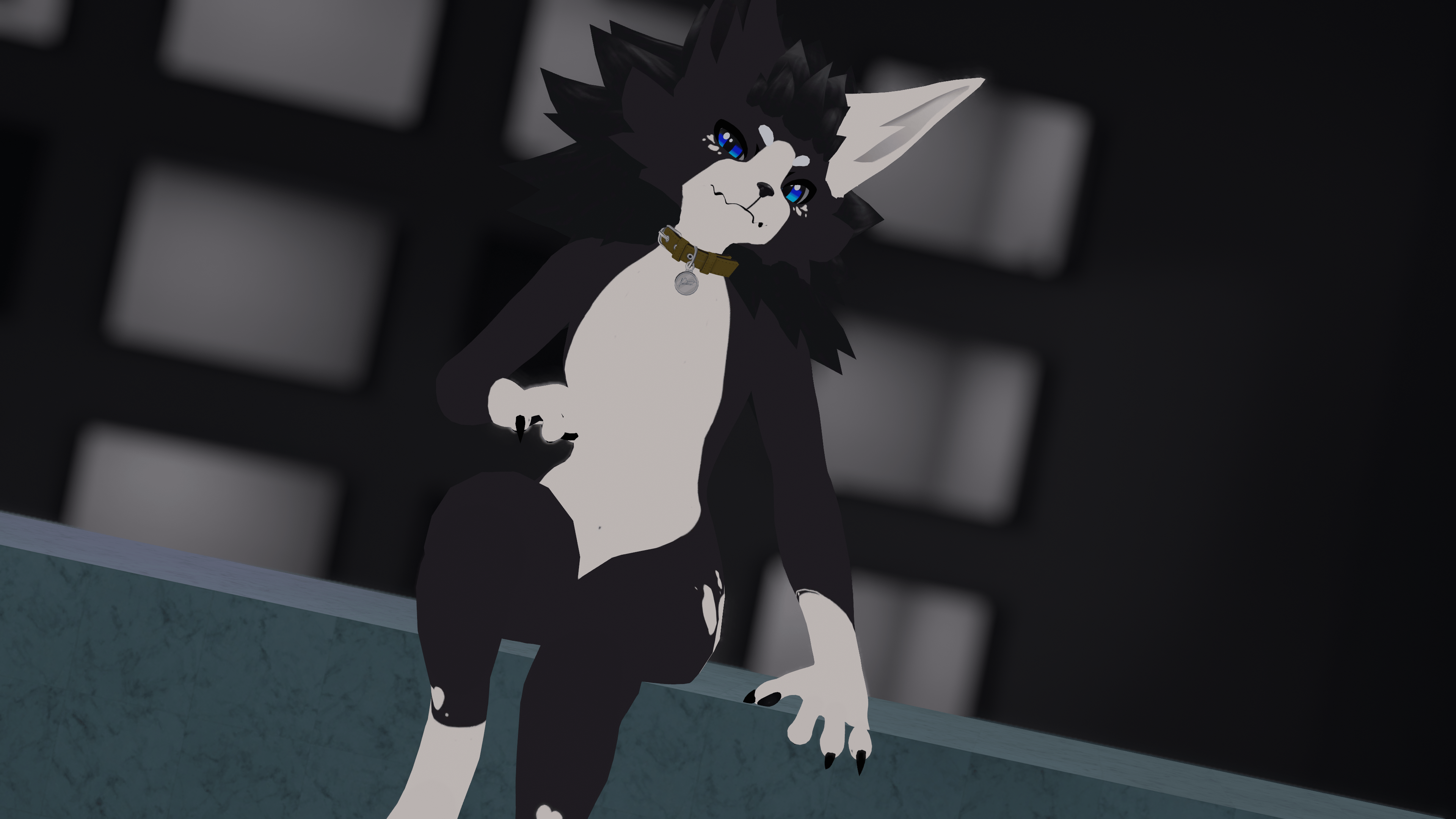 Novabeast Border Collie Texture!