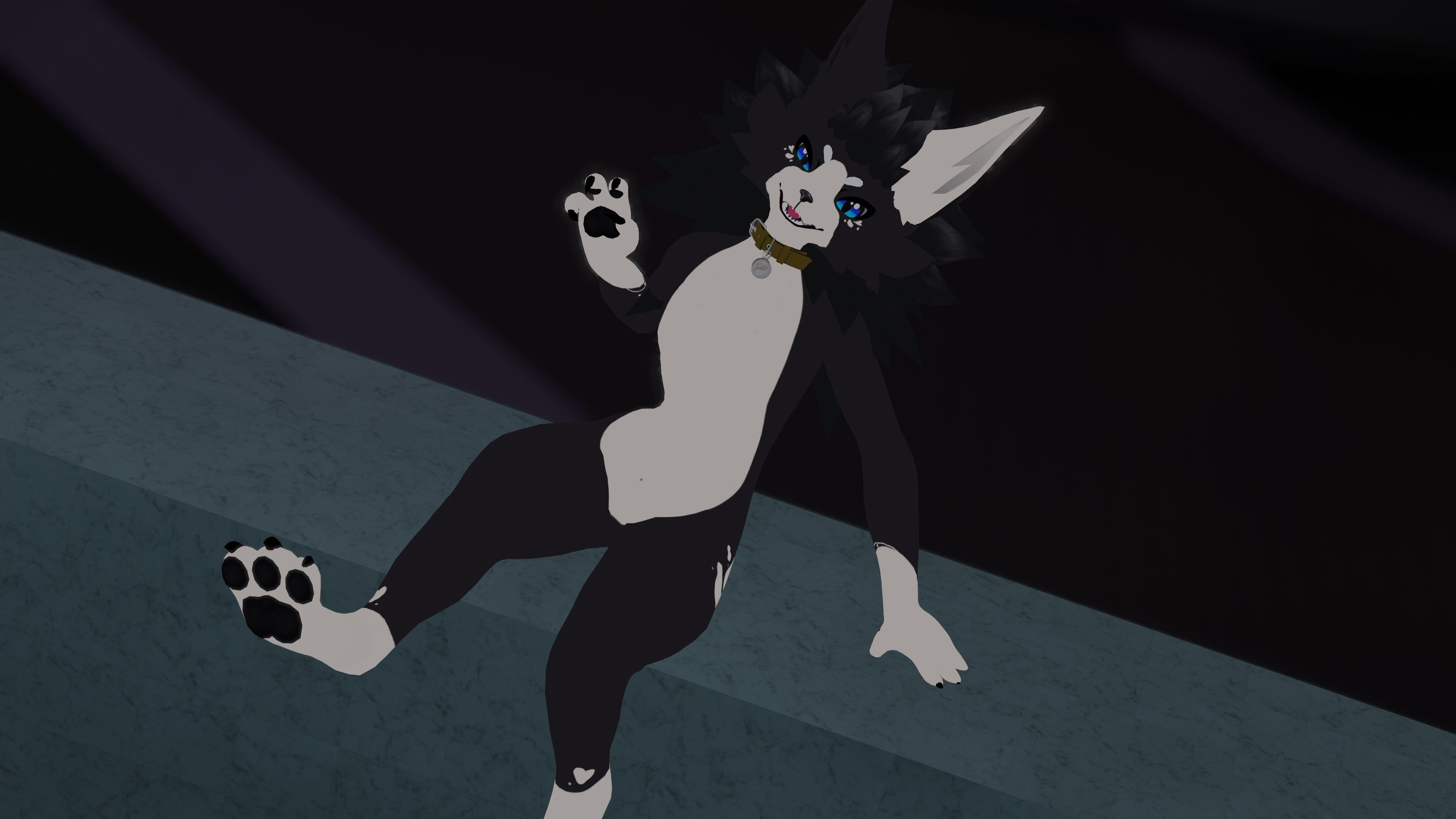Novabeast Border Collie Texture!
